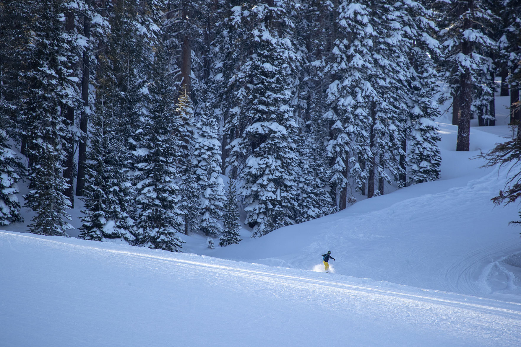 Blizzard snowboarder
